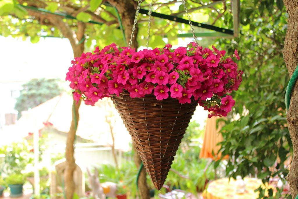Guest House Tomanovic แฮร์เซ็ก-โนวี ภายนอก รูปภาพ